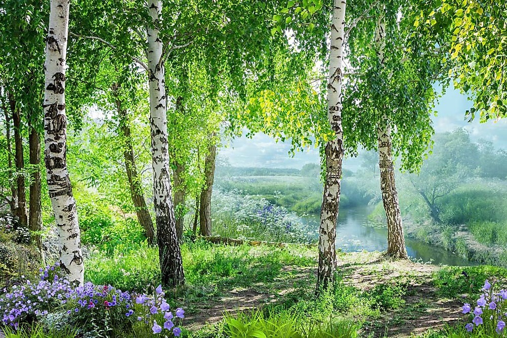 Лес