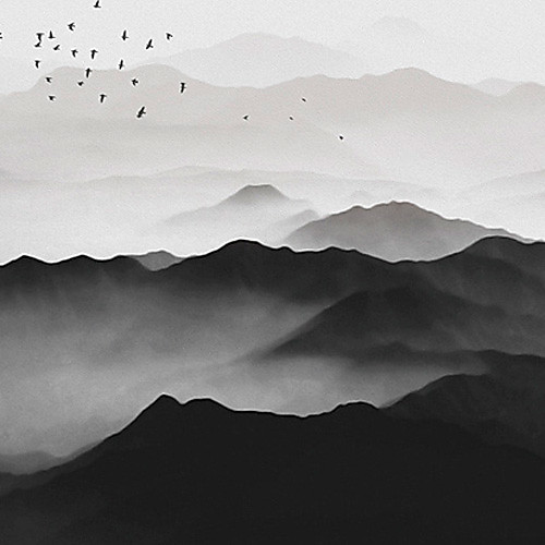 Черно-белые