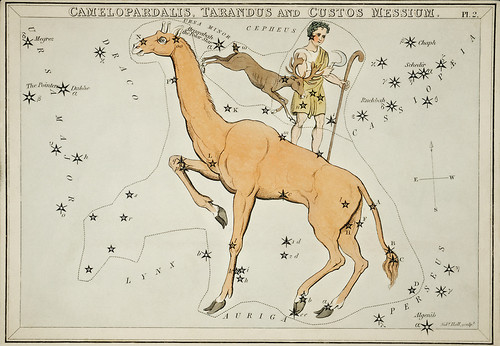 Астрономическая карта Жирафа, Тарандус и Стража
