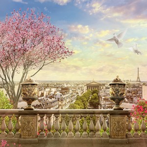 Веранда с видом на Париж