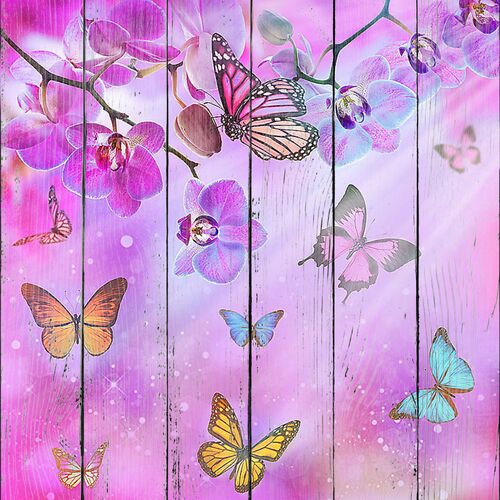 Разноцветные бабочки и орхидеи