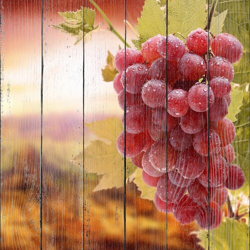 Спелый виноград в каплях воды