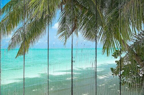Красивый тропический пляж с кокосовыми пальмами