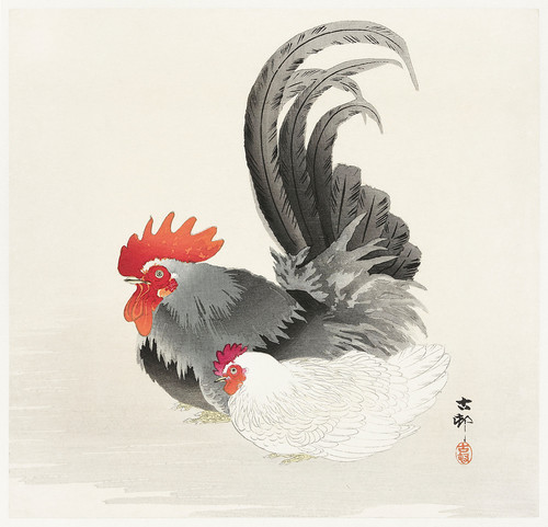 Курица и петух (1900-1936)