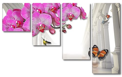 Орхидеи на фоне колонн