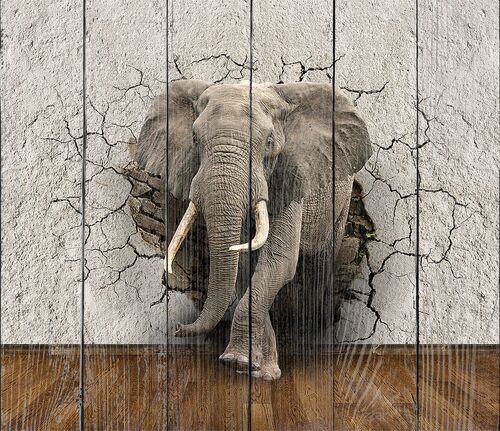 Слон из треснувшей стены