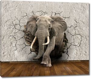 Слон из треснувшей стены