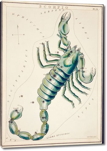 Астрономическая карта Скорпиона, сделанная Сидни Холлом