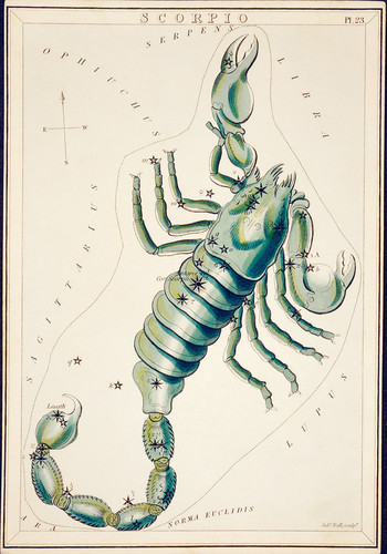 Астрономическая карта Скорпиона, сделанная Сидни Холлом