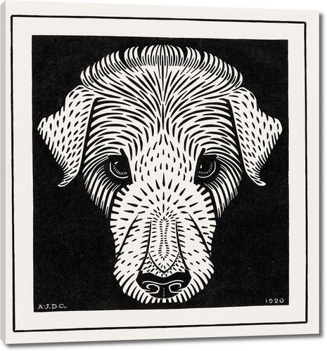 Собачья голова (1920)