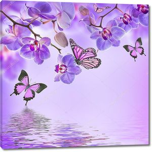 Тропические орхидеи и бабочки над водой