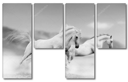 Белые лошади в песочном тумане