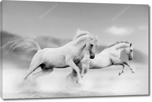 Белые лошади в песочном тумане