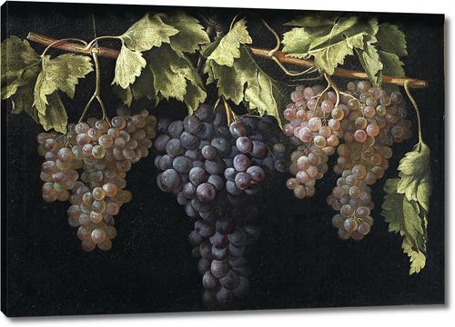 Натюрморт с четырьмя гроздьями винограда