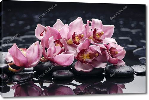 Натюрморт с орхидеей и камнями дзен