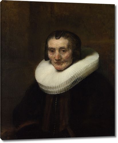 Портрет Маргариты де Гир жены Якоба Трипа