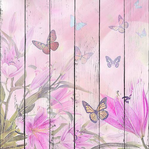 Лето, бабочки, цветы