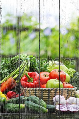 Свежих органических овощей в плетеную корзину в саду