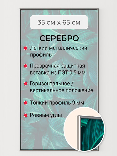 Серебро 35х65 см