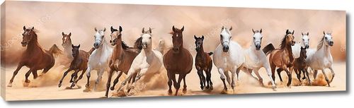 Лошади разного цвета на бегу
