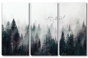 Туман по вершинам деревьев