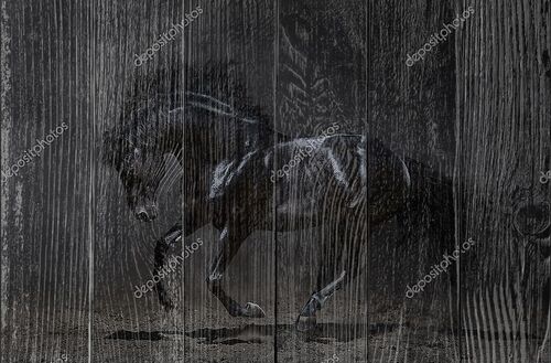 Черный конь на темном фоне