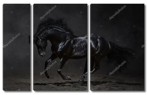 Черный конь на темном фоне