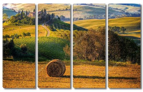 Тосканский пейзаж, сельская местность