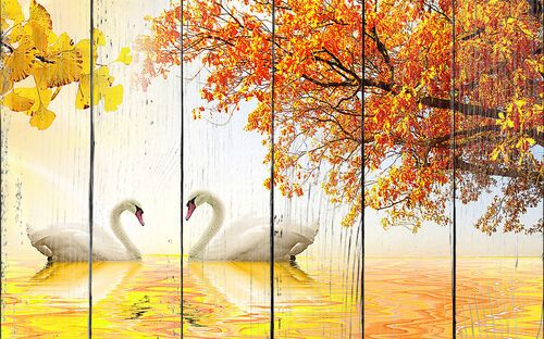 Осень с лебедями