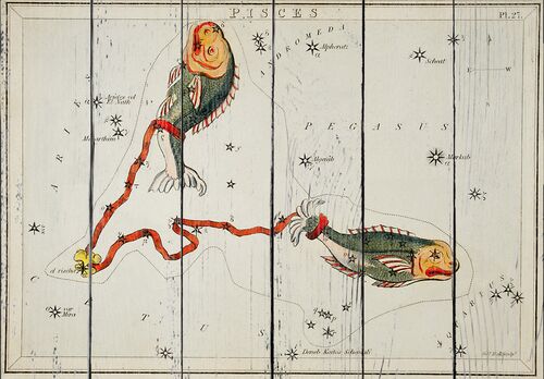 Астрономическая карта Рыб, сделанная Сидни Холлом