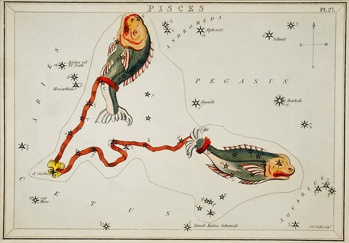 Астрономическая карта Рыб, сделанная Сидни Холлом