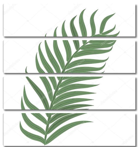 Один тропический пальмовый лист