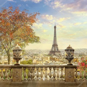 Панорама Парижа с террасы