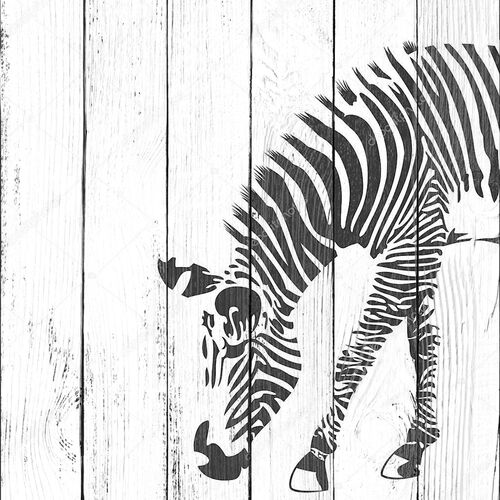 иллюстрация зебры в черно-белых тонах