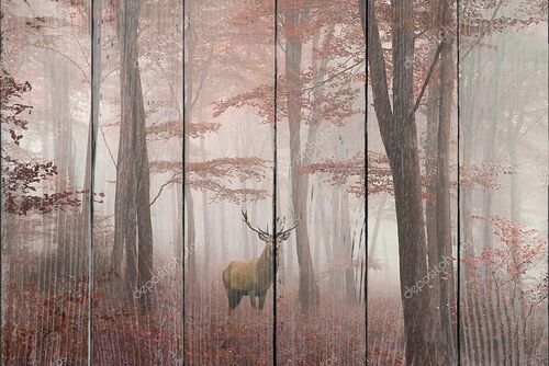 Изображение красного оленя в туманном лесу