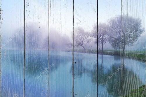 Туманное утро весны на озере