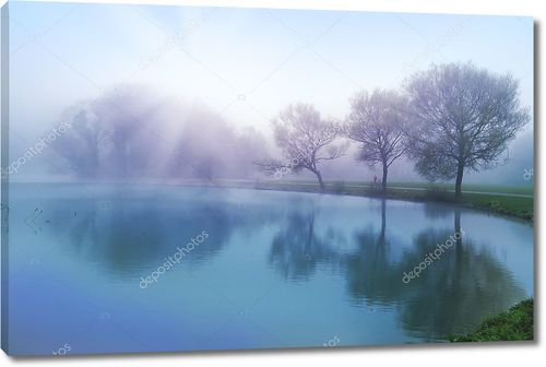 Туманное утро весны на озере