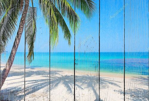Пляж и тени от пальмы