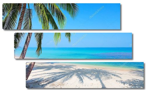 Пляж и тени от пальмы