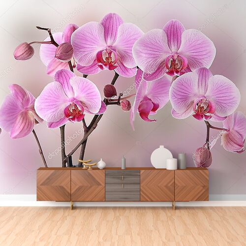 Дизайн розовых орхидей