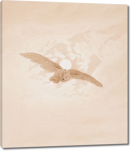 Летящая сова на фоне лунного неба