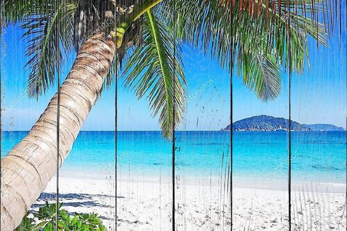 Пальма на пляже с белым песком