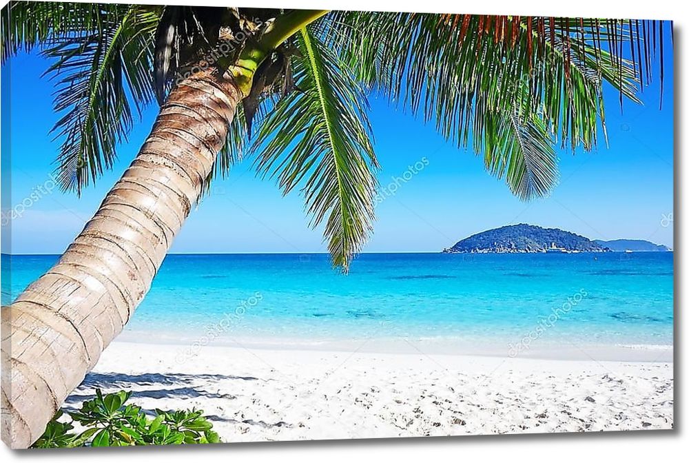 Картина «Картина на стену на холсте «Пальма на пляже с белым песком ...