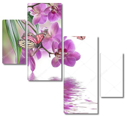 Тропические орхидеи над водой и бабочки