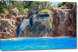 Два дельфина в прыжке