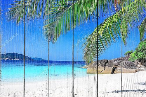 Тропический белый песчаный пляж с пальмами