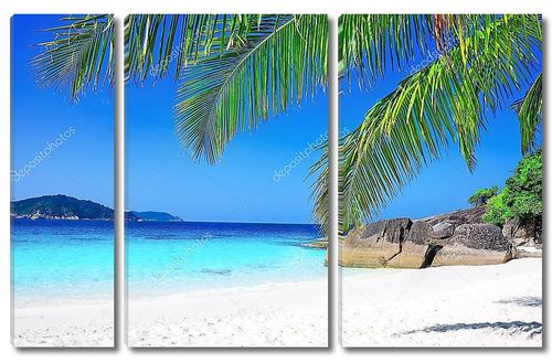 Тропический белый песчаный пляж с пальмами