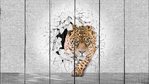 Леопард из пролома в стене