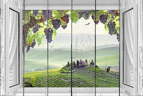 Виноград в распахнутом окне