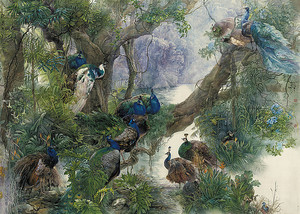 Группа павлинов на дереве
